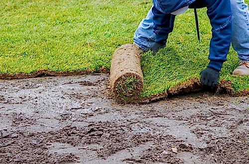 Tekirdağ'da Profesyonel Bahçe Çim Ekimi Hizmetleri rulo çim ekimi, çim ekimi m2 fiyatı profesyonel çim ekimi